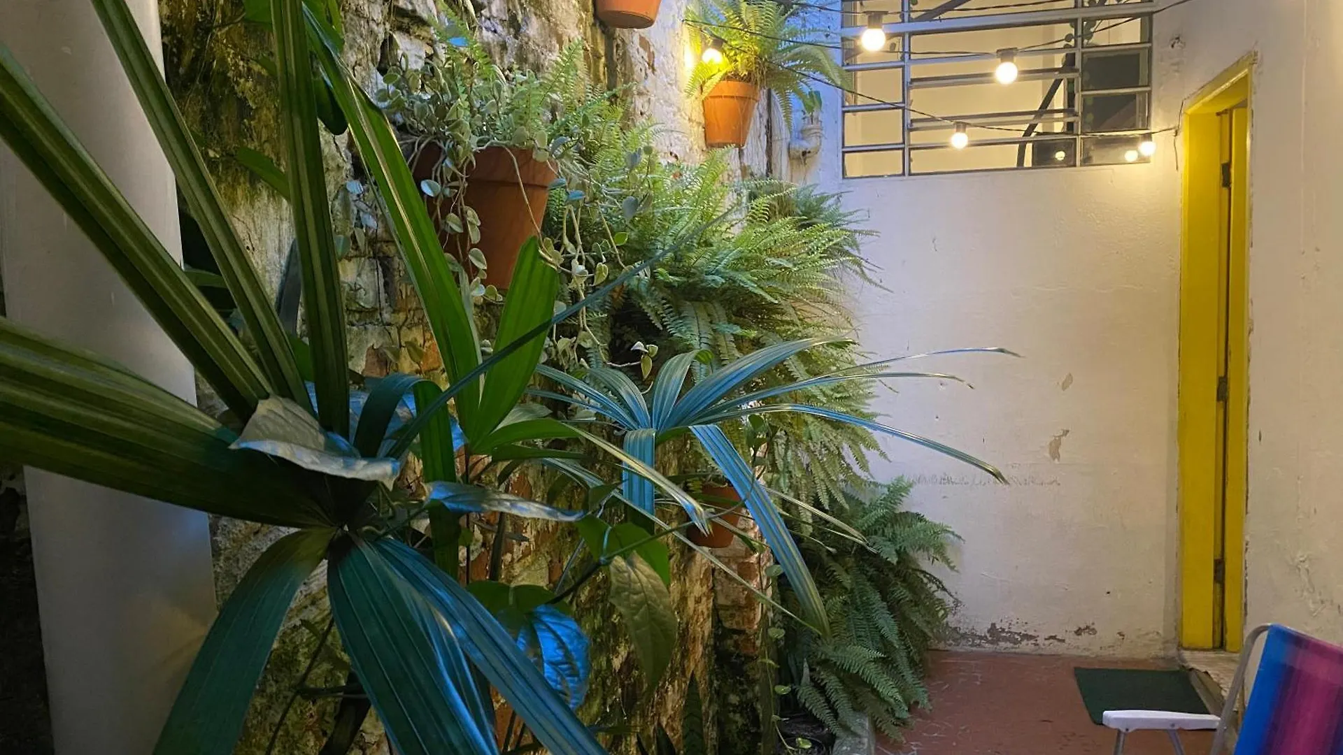 Casa Da Vo Lila Guest House - Quartos Privativos Ao Lado Do Metro Vila Mariana E Ana Rosa! Seu Cantinho Em Sp São Paulo Brazília